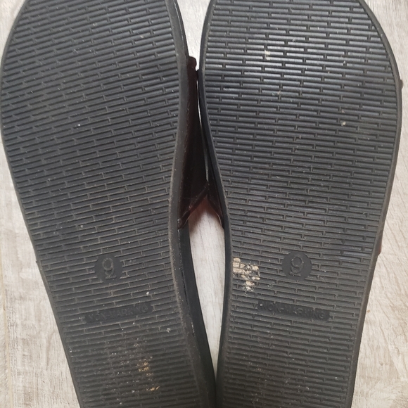 Tortoise Slides - Picture 2 of 3